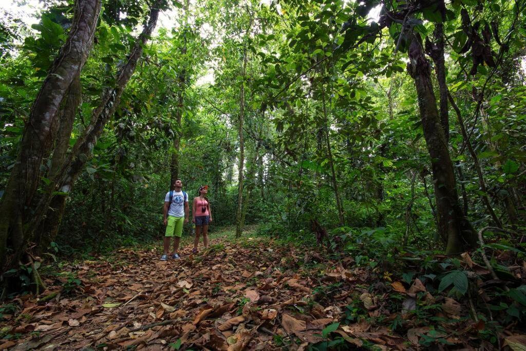 Arenal Ginger Home La Fortuna ภายนอก รูปภาพ
